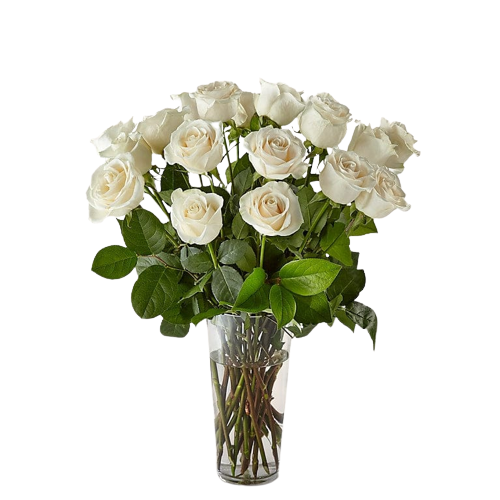 Roses all colors Madona Lebanon